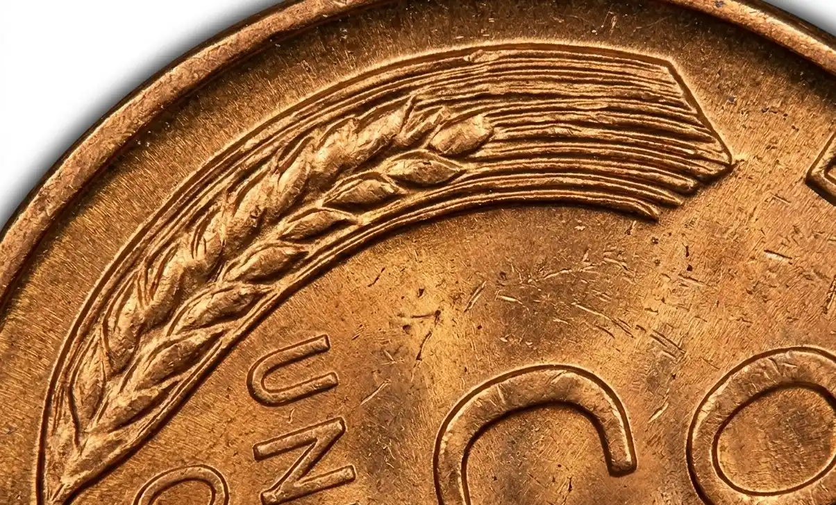 Extreme macro of wheat stalks on a wheat penny